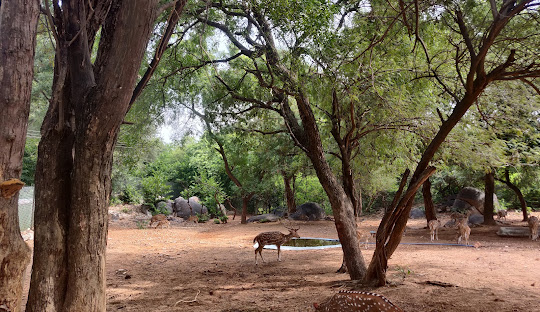 Mrugavani National Park - Chilkur - Hyderabad Tourist Places
